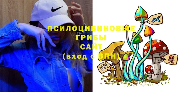 2c-b Алексин